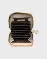 ASTI RV-Kartenetui 12CS