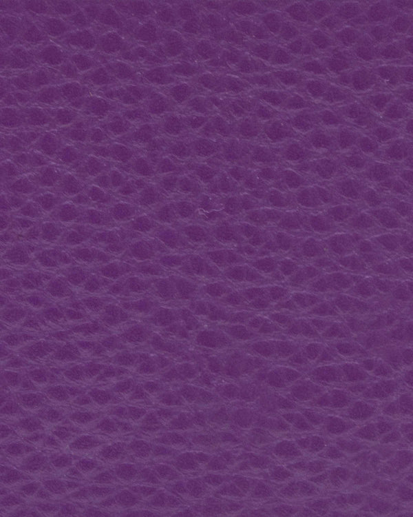 ASTI RV-Kartenetui 12CS